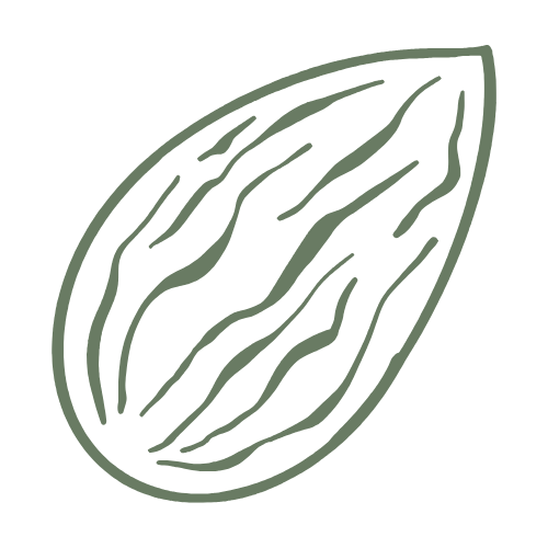 Noix de cola