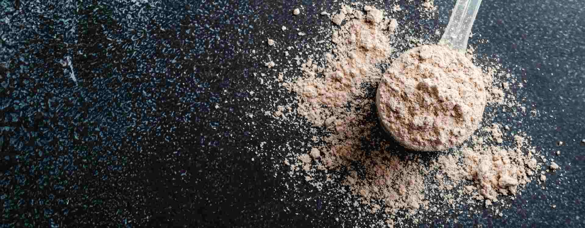 Protéines de whey ou protéines végétales : comparatif pour sportifs