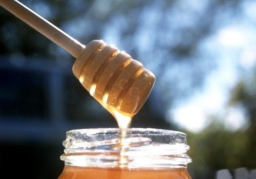 Valebio répond à toutes vos questions sur le miel conventionnel et le miel bio