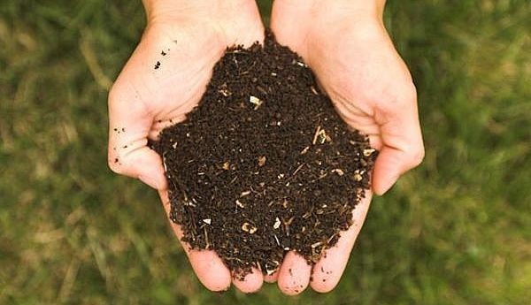 Le compost : un processus naturel qui fait ses preuves